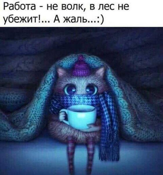 Новые ржачные до слез мемы понедельника