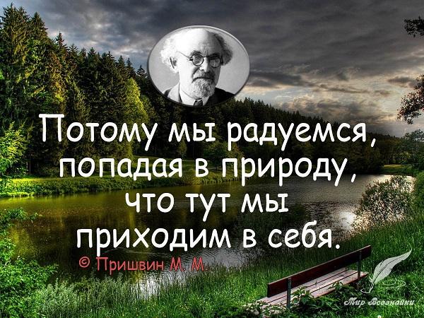 Подробнее о статье Мудрые цитаты и фразы про красоту природы