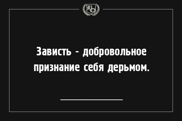 Подробнее о статье Интересные фразы про зависть