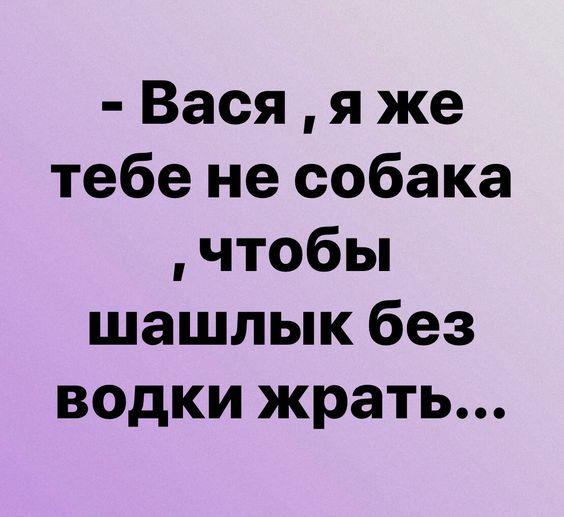 Подробнее о статье Новые прикольные до слез шутки вторника