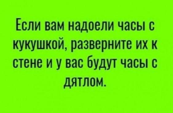 Подробнее о статье Новые прикольные шутки вторника