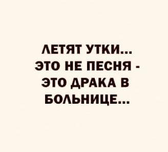 Подробнее о статье Новые ржачные шутки четверга