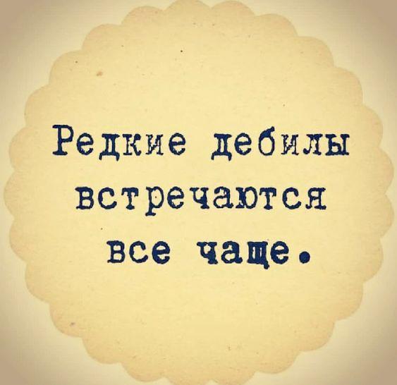 Подробнее о статье Новые ржачные шутки среды