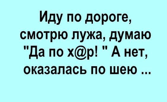 Подробнее о статье Новые самые смешные шутки воскресенья