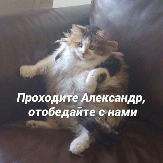 Новые веселые мемы вторника