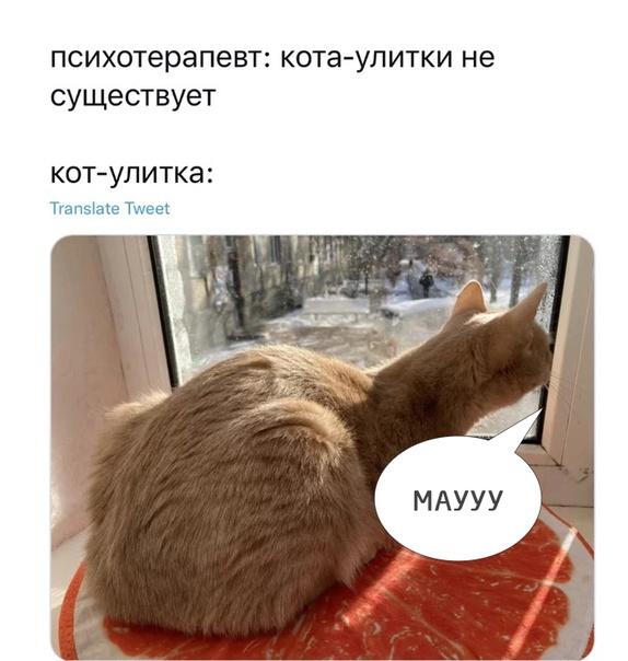 Новые веселые мемы воскресенья