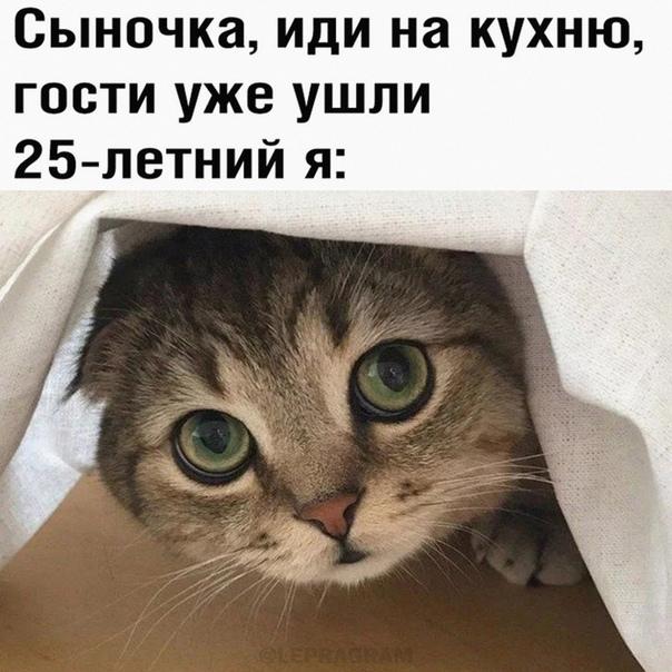 Новые веселые мемы воскресенья