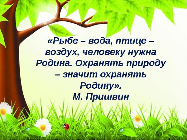 Подробнее о статье Цитаты про мир и природу