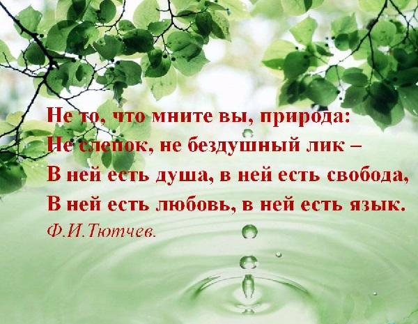 Подробнее о статье Красивые цитаты про мир и природу