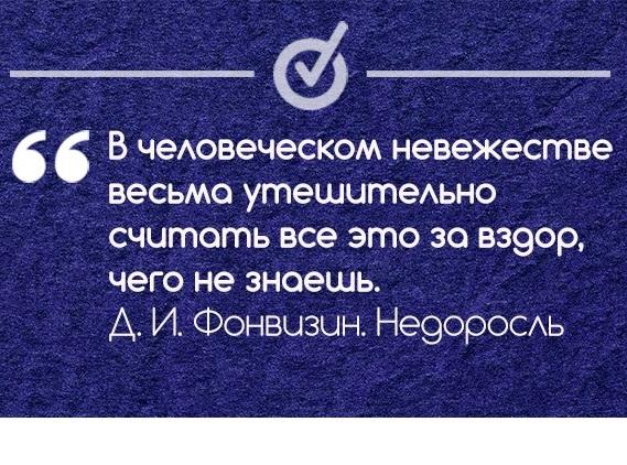 Подробнее о статье Мудрые цитаты про невежество