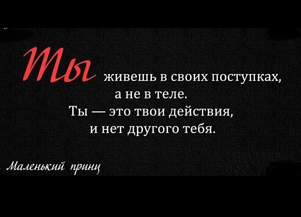 Подробнее о статье Цитаты про поведение и поступки