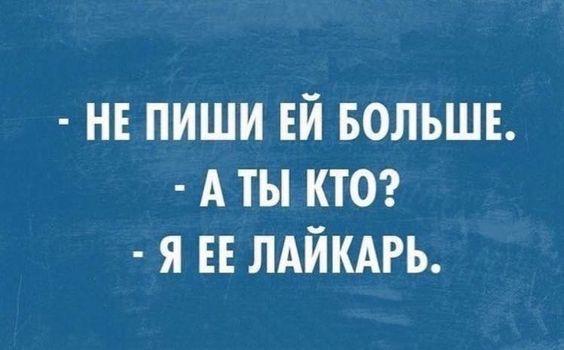 Подробнее о статье Новые лучшие шутки субботы