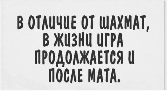 Подробнее о статье Новые забавные шутки пятницы