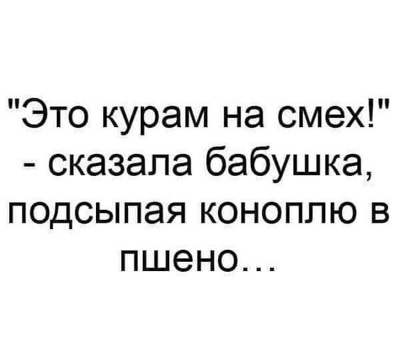 Подробнее о статье Новые забавные шутки воскресенья