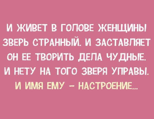 Подробнее о статье Прикольные и остроумные фразы про женщин