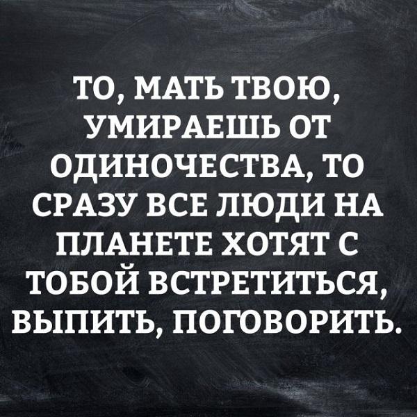 Подробнее о статье Остроумные и смешные выражения