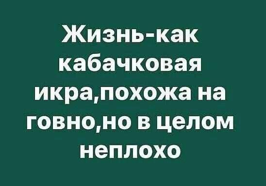 Подробнее о статье Смешные до слез убойные шуточки