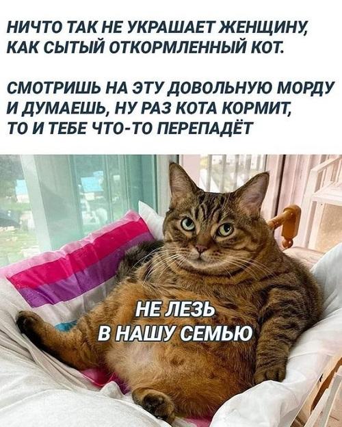 Новые угарные мемы четверга