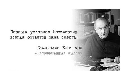 Подробнее о статье Мудрые цитаты про смерть и бессмертие