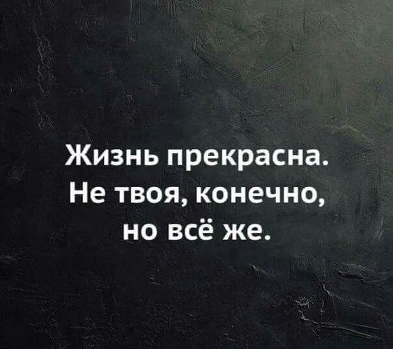 Подробнее о статье Новые классные шутки пятницы