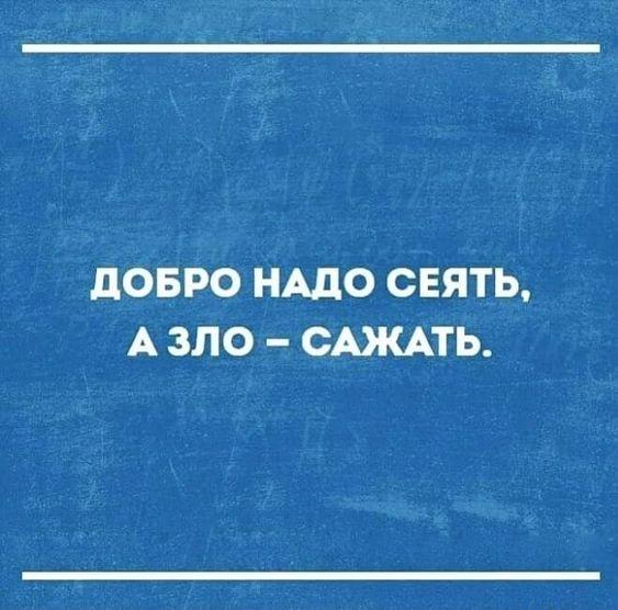 Подробнее о статье Новые убойные шутки среды