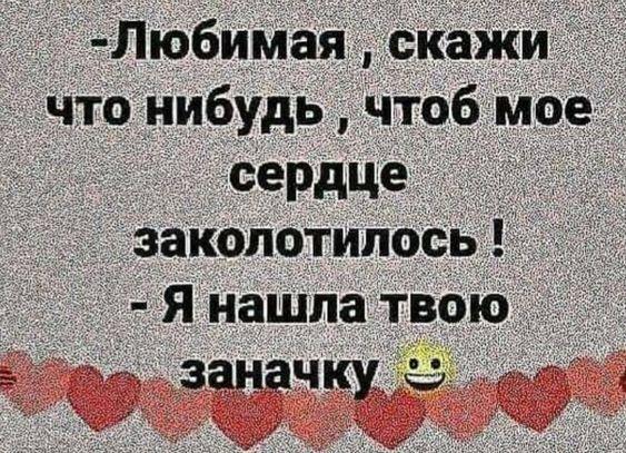 Подробнее о статье Новые убойные шутки вторника