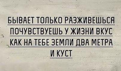 Подробнее о статье Новые улетные шутки понедельника