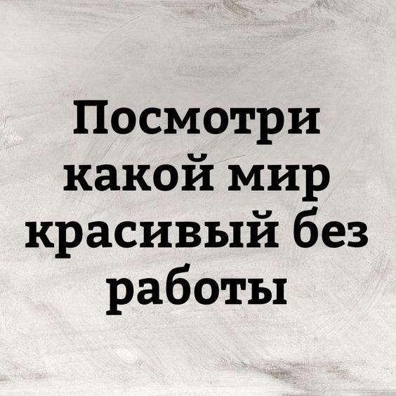 Подробнее о статье Ржачные короткие статусы