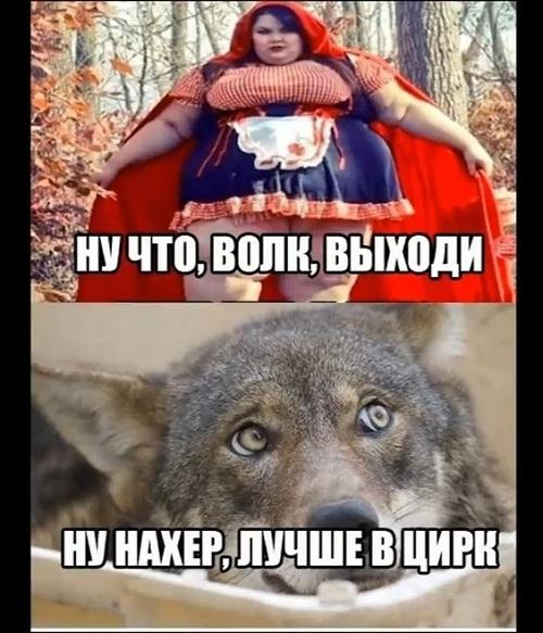 Свежайшие мемы понедельника