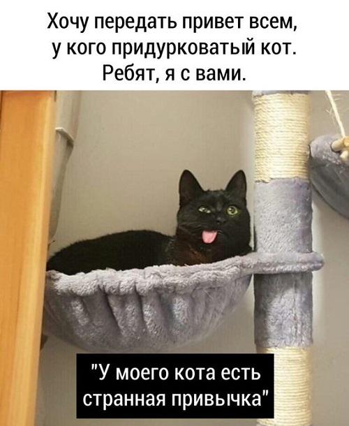 Свежайшие мемы среды