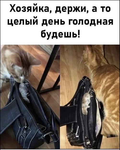 Смешные мемы (суббота)