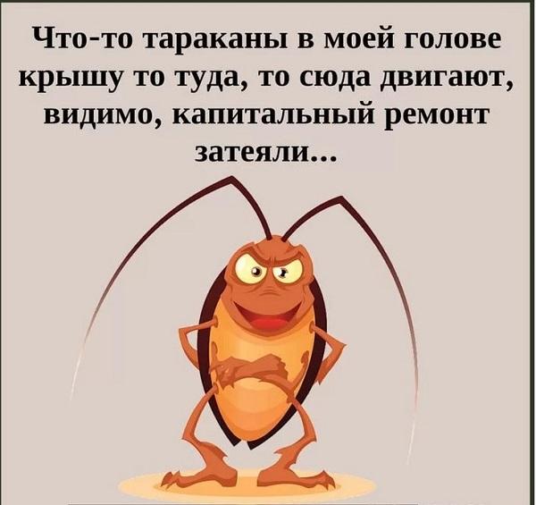 Подробнее о статье Смешные анекдоты про тараканов в голове