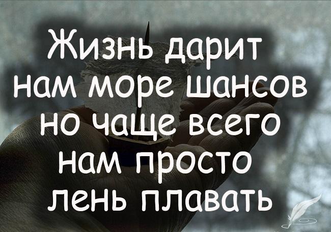 Подробнее о статье Цитаты и фразы про жизнь со смыслом