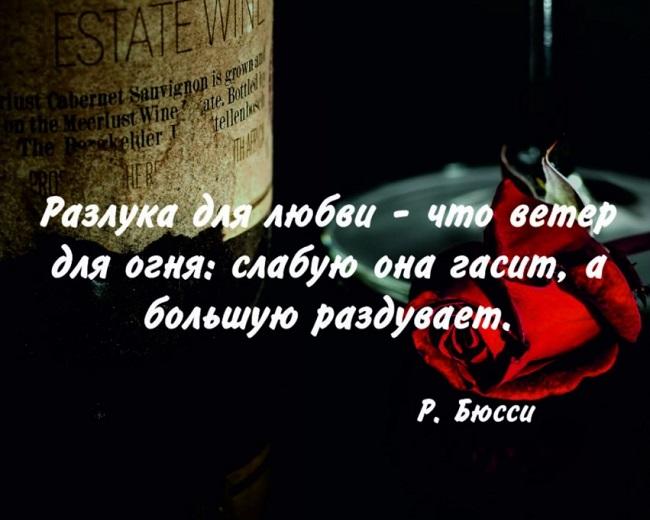 Подробнее о статье Красивые цитаты про любовь