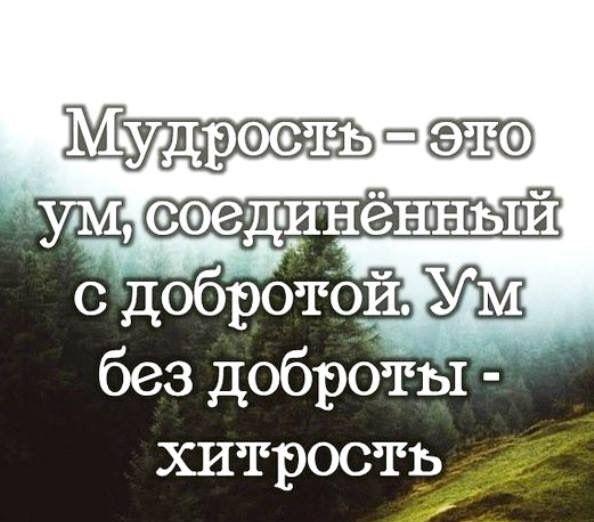 Подробнее о статье Цитаты про ум и мудрость со смыслом