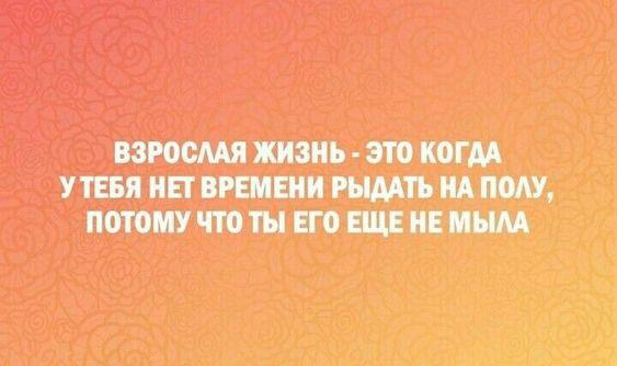 Подробнее о статье Свежие самые смешные короткие статусы