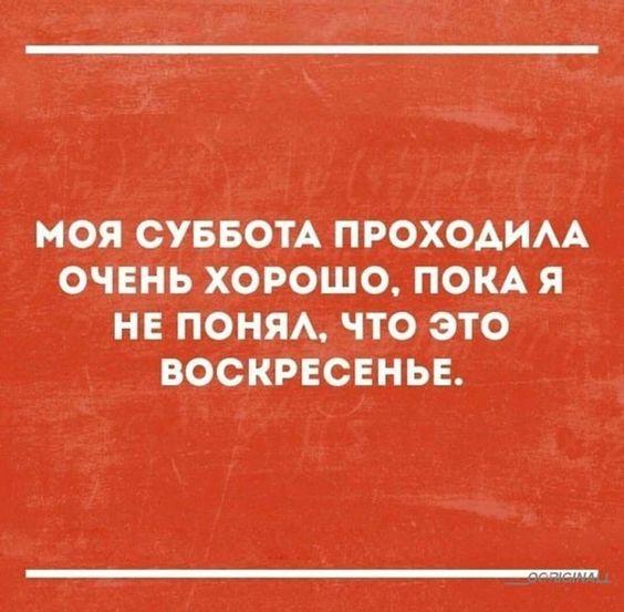 Подробнее о статье Свежайшие шутки вторника