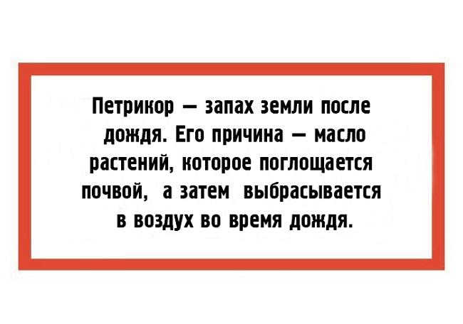 Подробнее о статье Умные слова и их значение