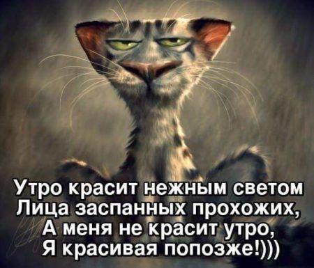 Подробнее о статье Очень смешные картинки с надписями (четверг)