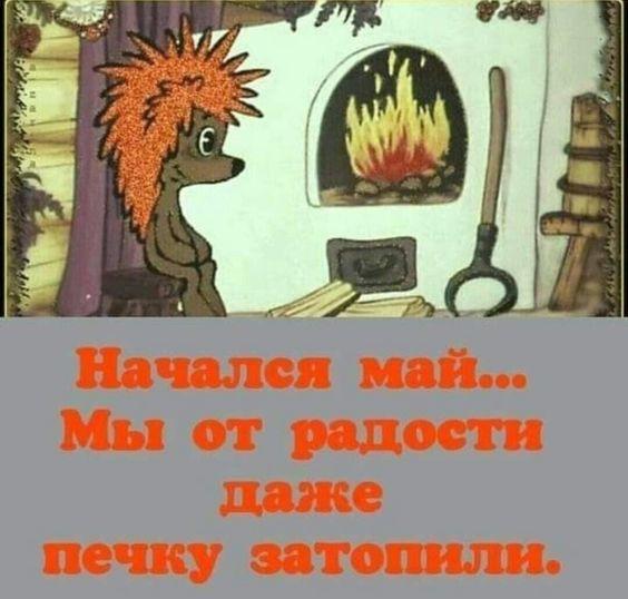 Подробнее о статье Очень смешные картинки с надписями (суббота)