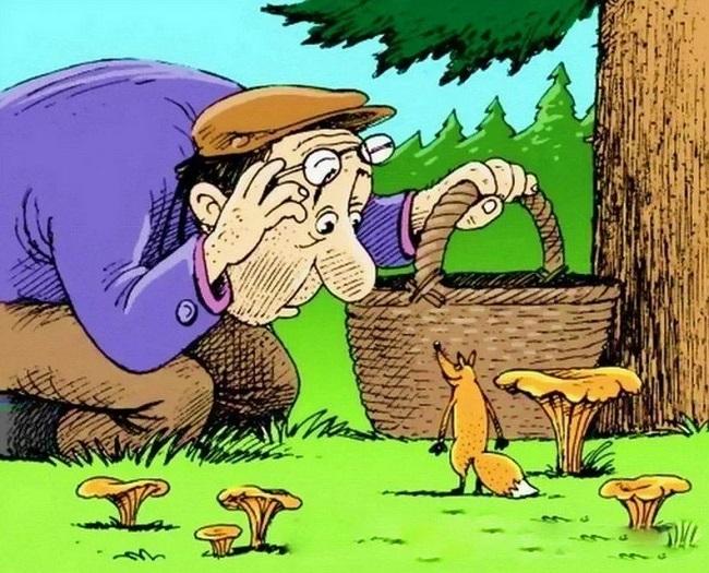 анекдоты и шутки про грибы и грибников