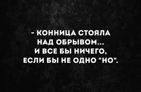 Подробнее о статье Прикольные афоризмы, объявления и шутки