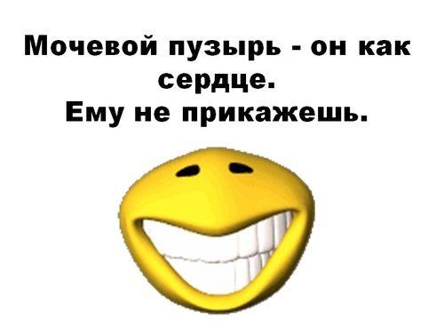 Подробнее о статье Прикольные до слез шутки (воскресенье)