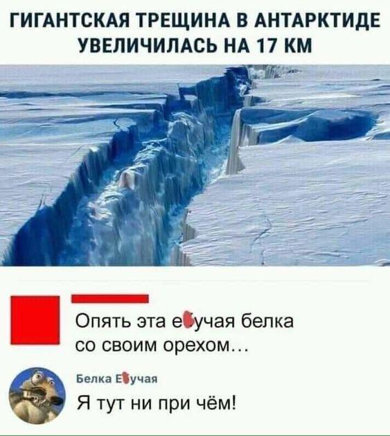 Смотреть смешные картинки