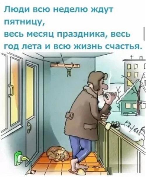 Веселые картинки с надписями (понедельник)