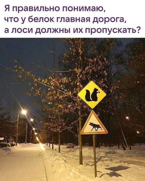 Забавные картинки с надписями (среда)