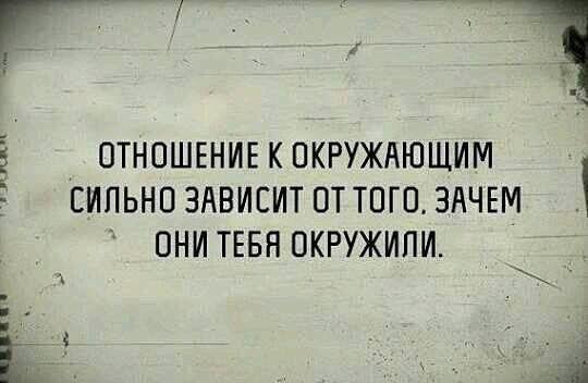 Подробнее о статье Ржачные до слез шутки (пятница)