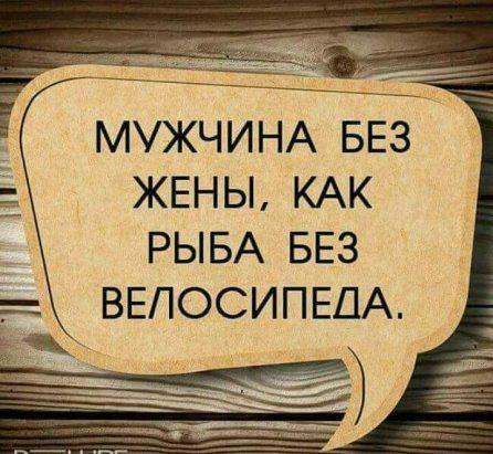 Подробнее о статье Ржачные до слез шутки (понедельник)