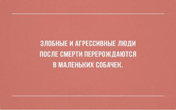 Подробнее о статье Ржачные до слез шутки (вторник)