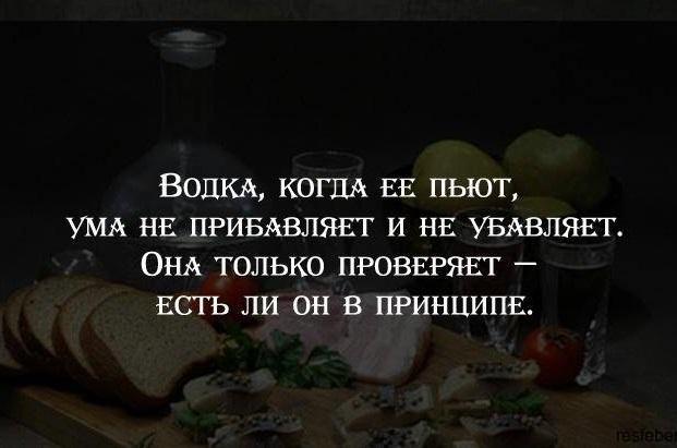 Подробнее о статье Прикольные статусы про водку